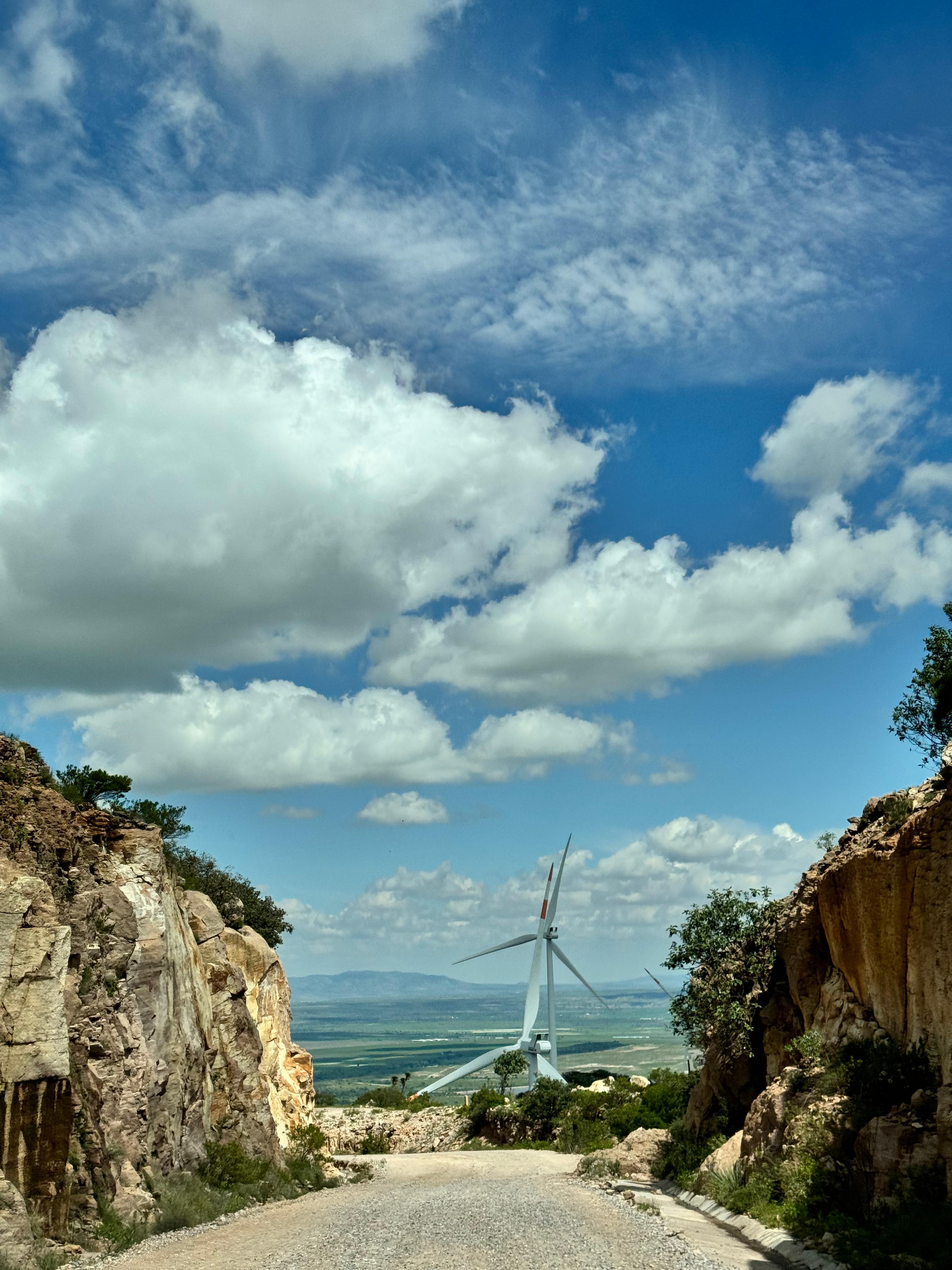 Servicios Complementarios a tu Medida