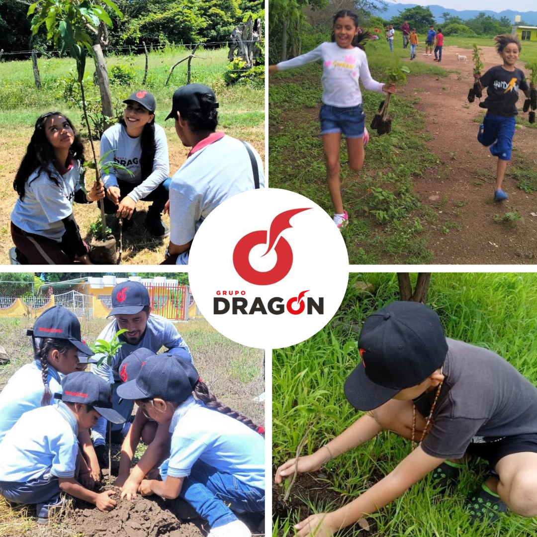 Programa de reforestación de Grupo Dragón como parte de su estrategia de responsabilidad social empresarial